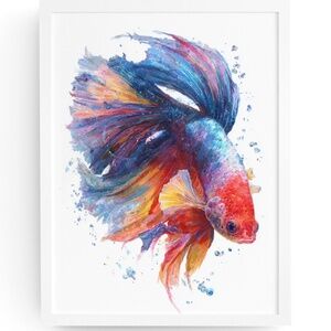 Watercolor Betta Fish Wall Art Print, Unframed - Vibrant Aquatic Elegance
